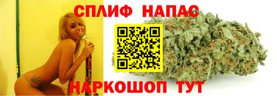 тгк Новокубанск