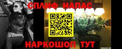 тгк Новокубанск