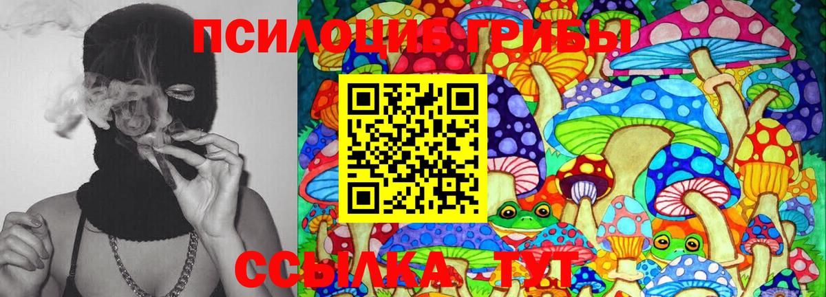 Галлюциногенные грибы ЛСД Торжок