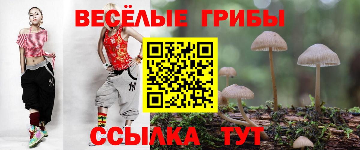 продажа наркотиков  Вход с VPN  Торжок  Галлюциногенные грибы мухоморы 